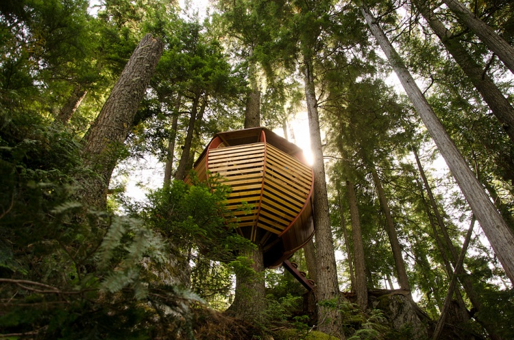 Hidden Egg Treehouse by Joel Allen - 1