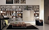 001-contemporary-home-libraries