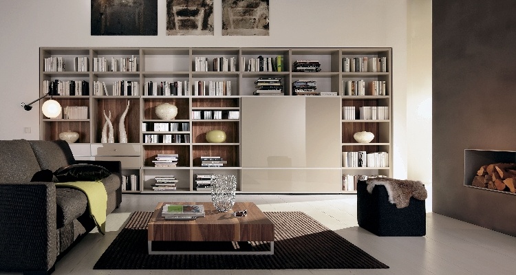 Contemporary Home Libraries - 1