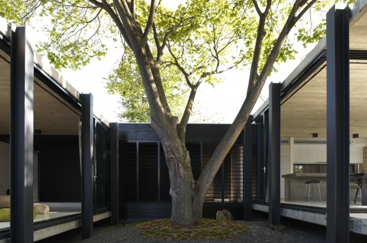 Elm and Villow House by Architects EAT