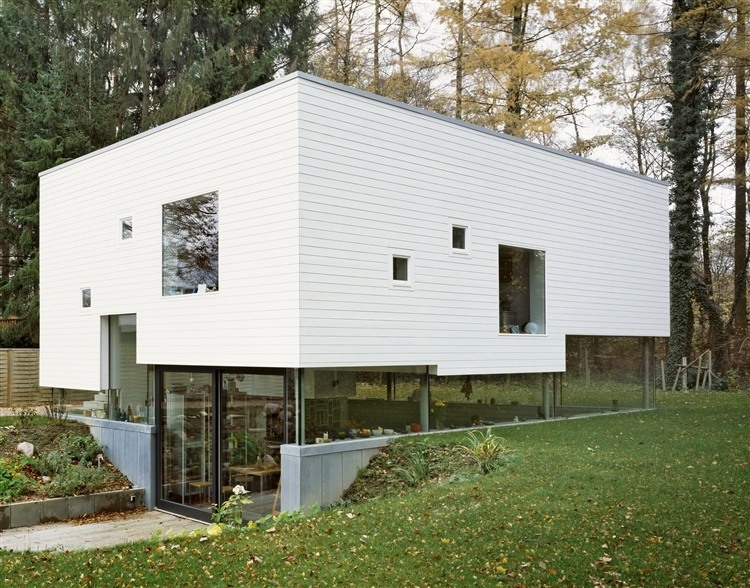 House W by Kraus Schoenberg architects - 1