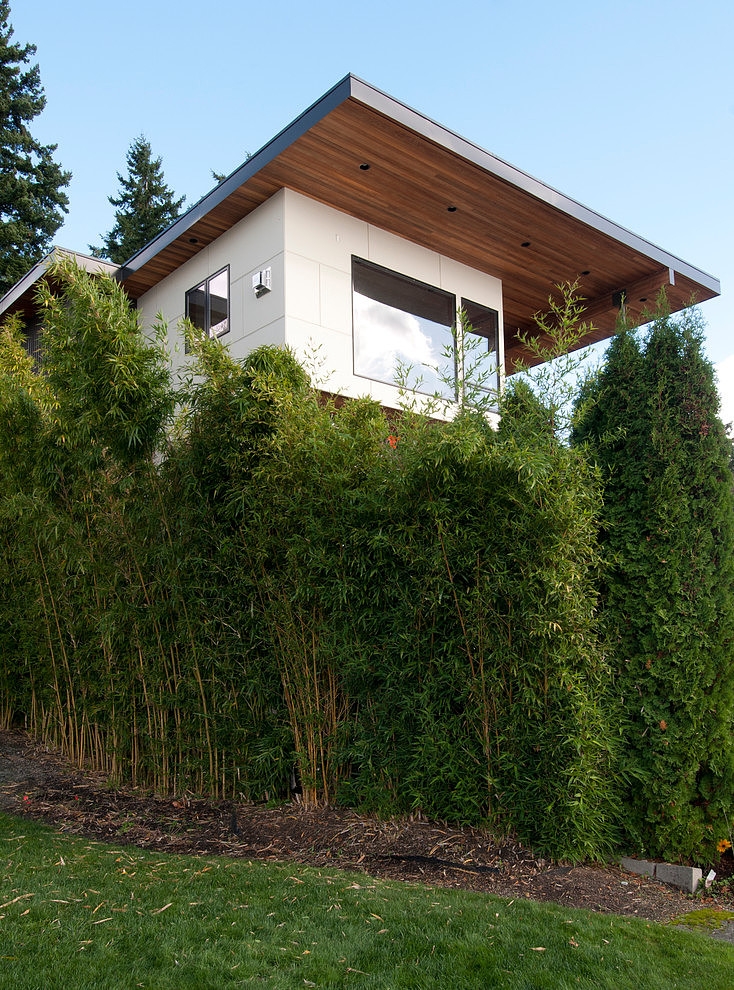 Kirkland Residence by Verge Architecture & Design