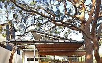 002-angophora-house-richard-cole-architecture
