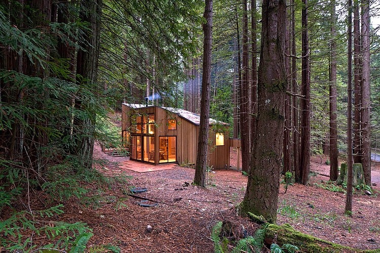 Sea Ranch Cabin by Frank / Architects
