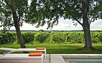 005-niagara-vineyard-renovation