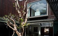 004-centennial-tree-house-wallflower-architecture-design