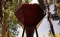 006-tree-snakes-house-luis-rebelo-de-andrade