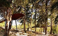 007-tree-snakes-house-luis-rebelo-de-andrade