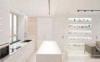 008-moscow-apartment-slproject
