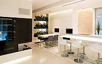 010-moscow-apartment-slproject