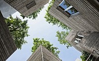 007-house-trees-vo-trong-nghia-architects