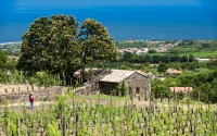034-monaci-delle-terre-nere-giuseppe-merendino
