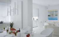 008-shades-white-apartment-mood-works