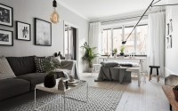 004-ernst-ahlgrens-vg-apartment-scandinavian-homes