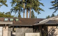 005-edgemont-house-nelsondesign