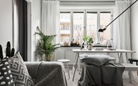 006-ernst-ahlgrens-vg-apartment-scandinavian-homes