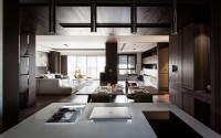 016-lins-house-pm-design