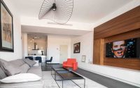 007-goor-apartment-kochav