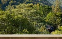 003-house-san-anselmo-robert-stiles-architecture