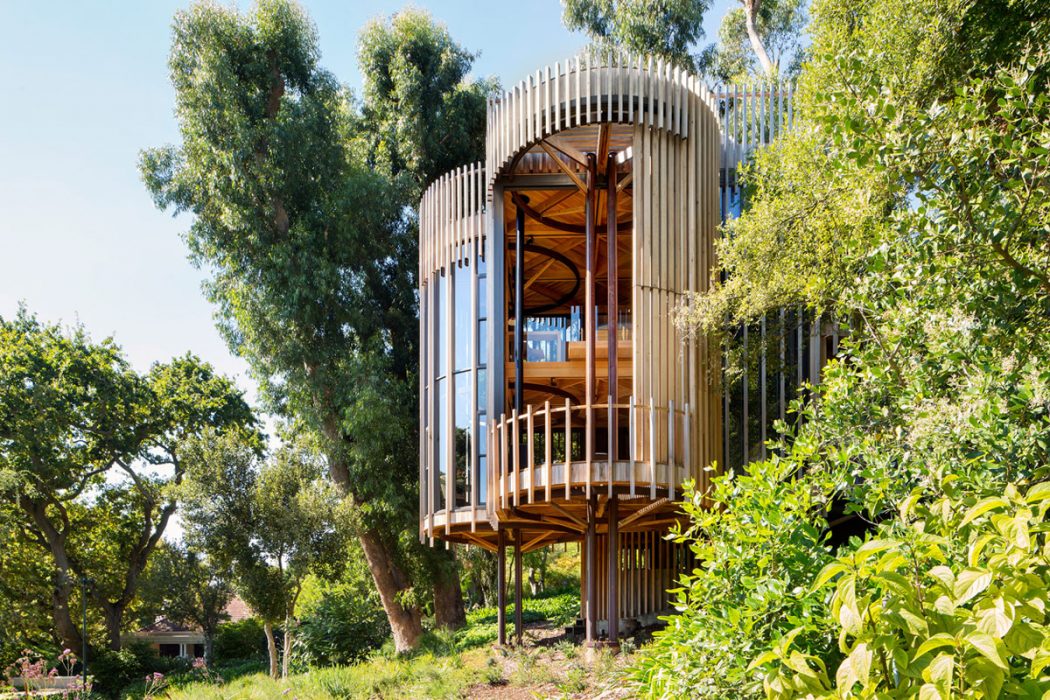 Tree House by Malan Vorster - 1