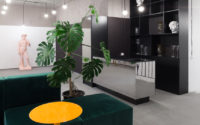 007-office-kiev-malykrasota-design