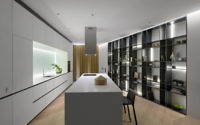 006-skyline-apartment-mono-architects