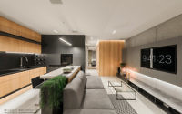 014-apartment-in-poland-by-hi-light-architects