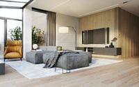 007-comfort-apartment-need-design-W1390