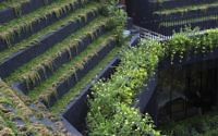 016-cornwall-gardens-chang-architects