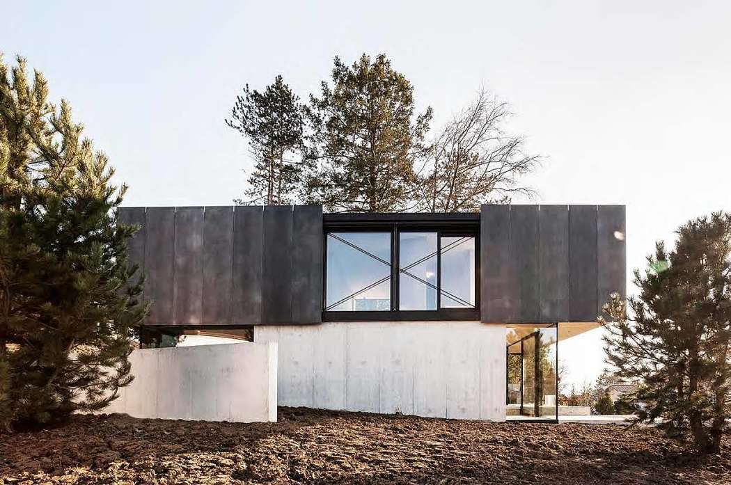 House in Riehen by Reuter Raeber - 1