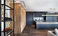 003-layers-apartment-aviram-kushmirski