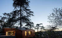 001-house-trees-anonymous-architects