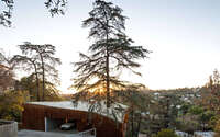 013-house-trees-anonymous-architects