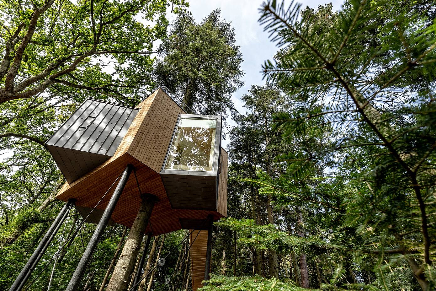 Lovtag Treetop Hotel by Sigurd Larsen