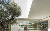 016-trees-house-gallardo-llopis-arquitectos