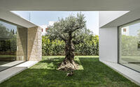017-trees-house-gallardo-llopis-arquitectos