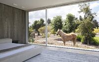 028-ma-house-pitsou-kedem-architects