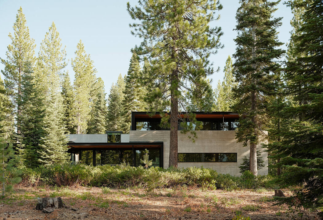 Forest House by Faulkner Architects - 1