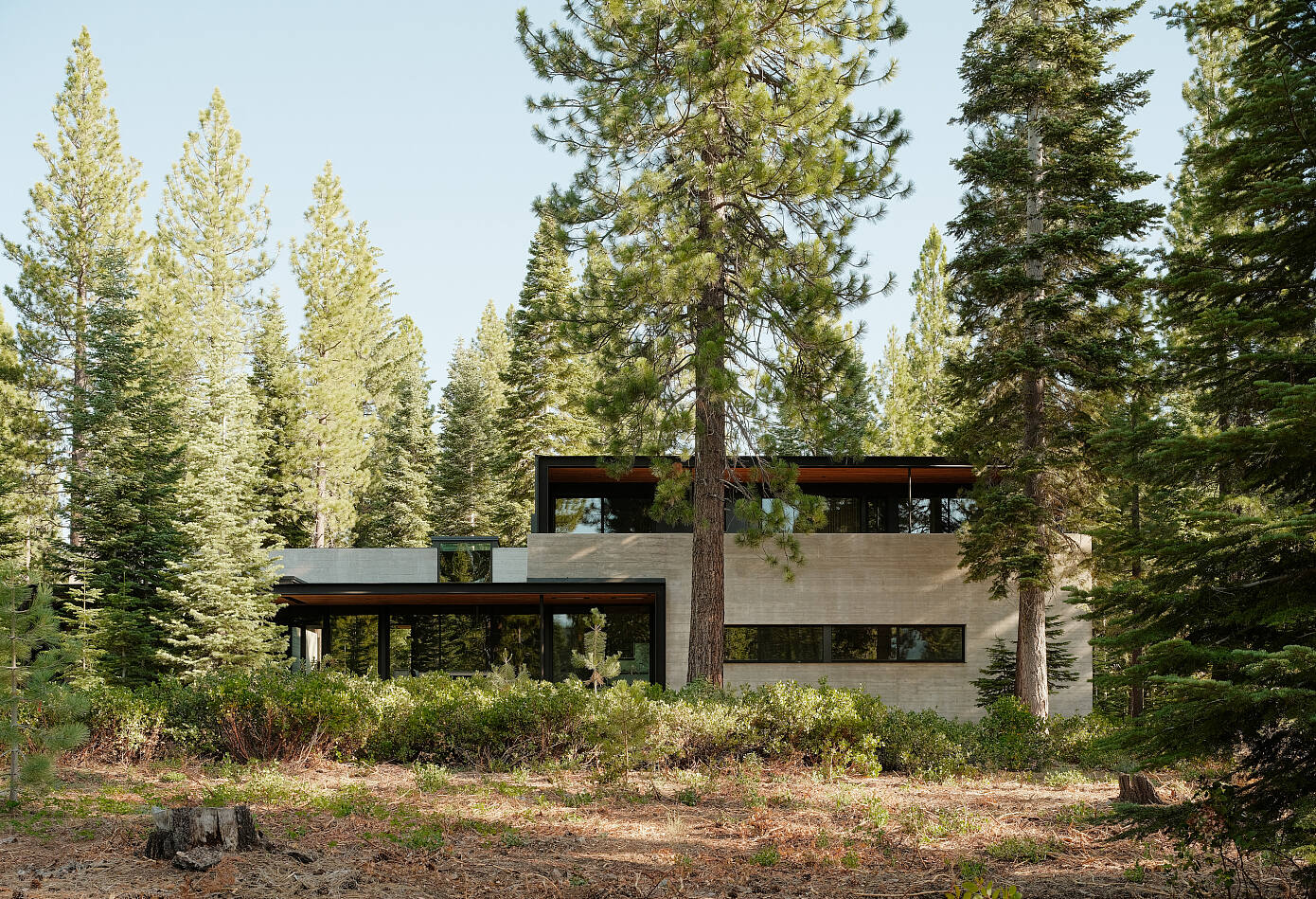 Forest House by Faulkner Architects