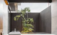 008-pf-house-infante-arquitectos