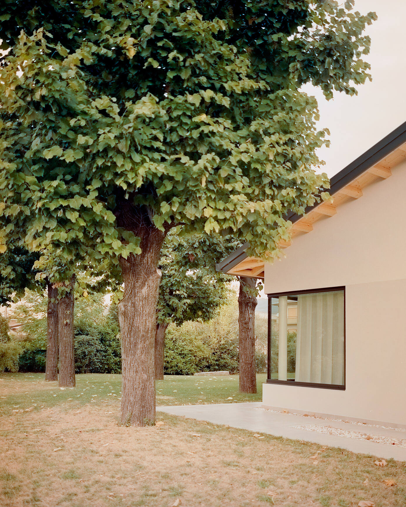 House AJ by Didonè Comacchio Architects