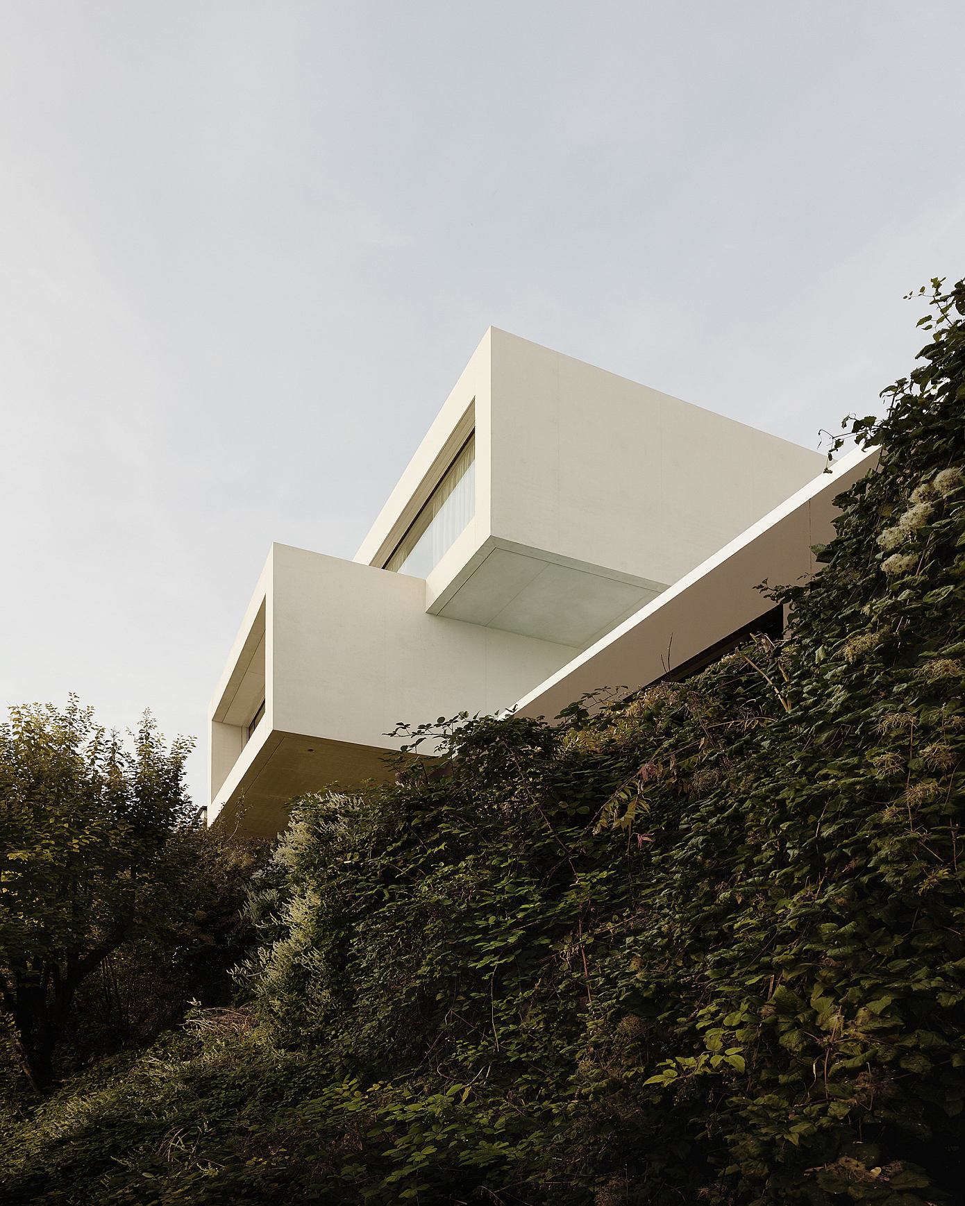 Casa Mi by Daluz Gonzalez Architekten