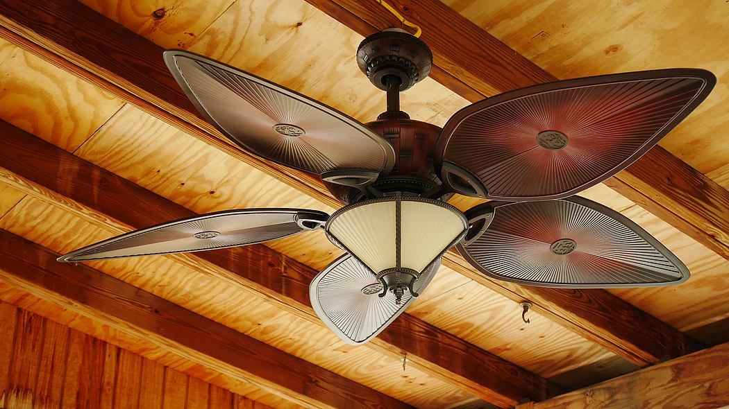 Top Things to Consider When Sourcing Ceiling Fans for Your Home - 1
