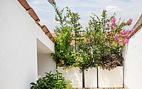 034-pl36-duplex-giulia-urciuoli