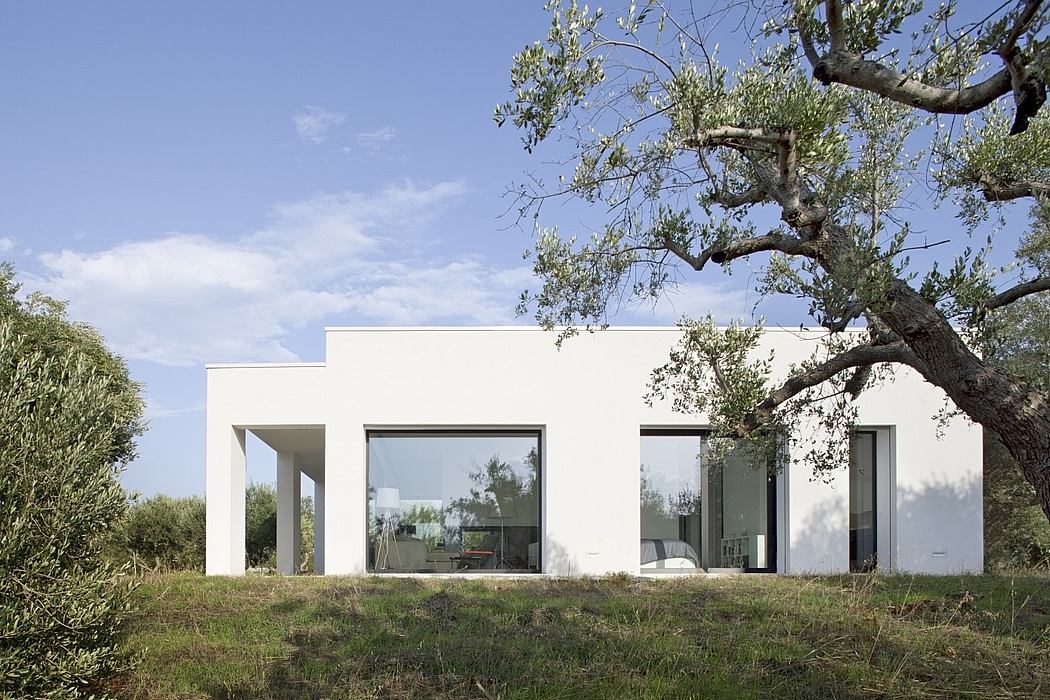 SS House by Reisarchitettura