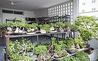042-bonson-bonsai-house-ss-architects