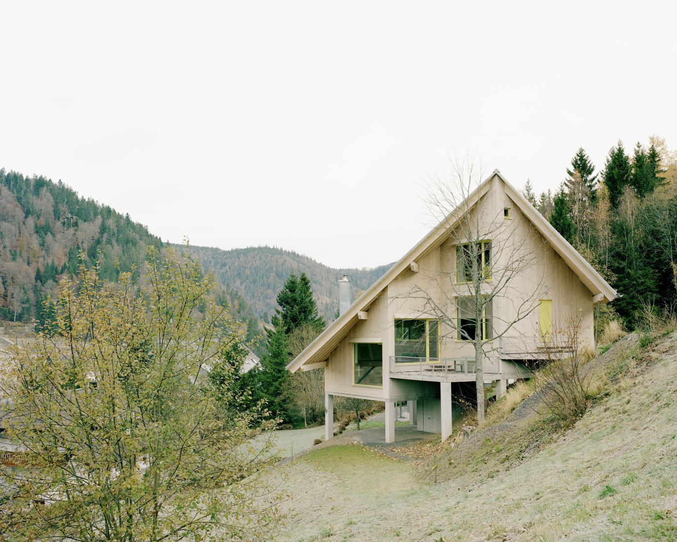 A Steeply Sloped Yard Becomes a Hillside Oasis - This Old House