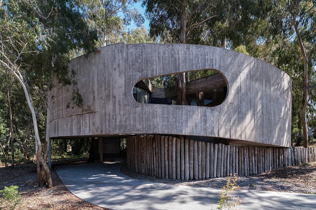 Casa 81 by TAM Arquitectura