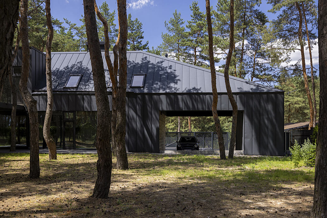 House Among the Pines by ArchObraz