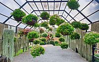 5-ways-to-enhance-your-outdoor-garden-009